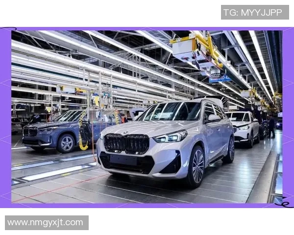 武汉足球队转型之路的挑战与机遇深度解析与未来展望 武汉足球队转型之路的挑战与机遇深度解析与未来展望