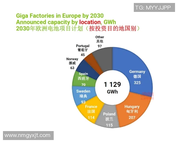上海羽毛球队的转型之路与未来发展展望分析 上海羽毛球队的转型之路与未来发展展望分析
