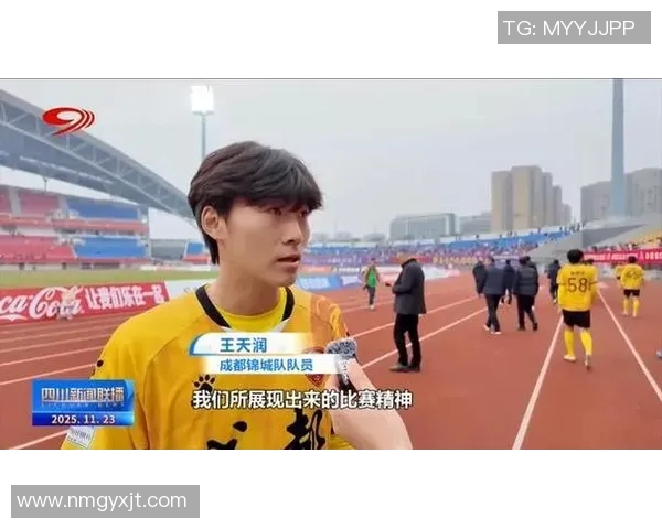 成都足球队总决赛表现点评：灵活性与战术运用的完美结合