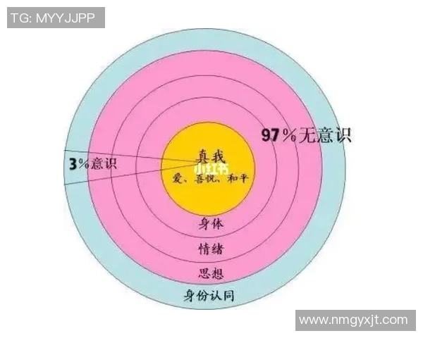 武汉排球队意识对比深度剖析与战术思维的影响研究