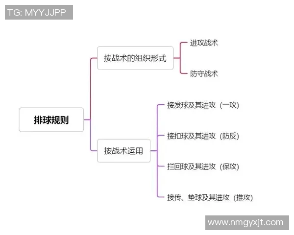 深圳排球队总决赛表现分析:意识与战术的完美结合探讨 深圳排球队总决赛表现分析:意识与战术的完美结合探讨