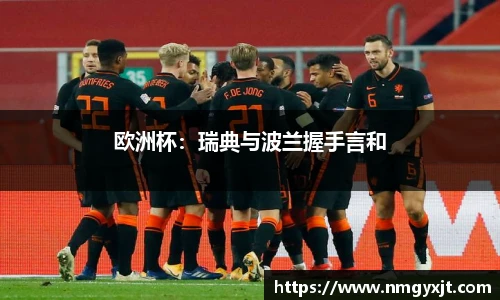 欧洲杯：瑞典与波兰握手言和