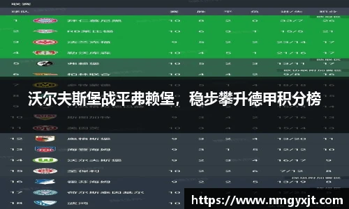 沃尔夫斯堡战平弗赖堡，稳步攀升德甲积分榜
