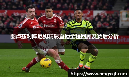 图卢兹对阵尼姆精彩直播全程回顾及赛后分析