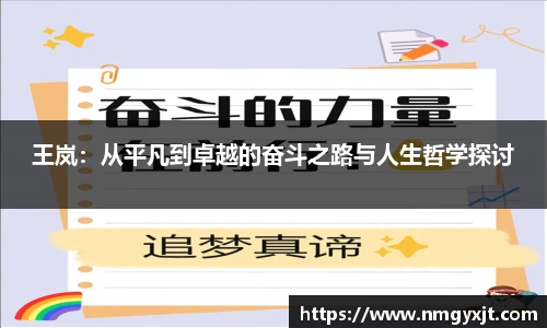 王岚：从平凡到卓越的奋斗之路与人生哲学探讨