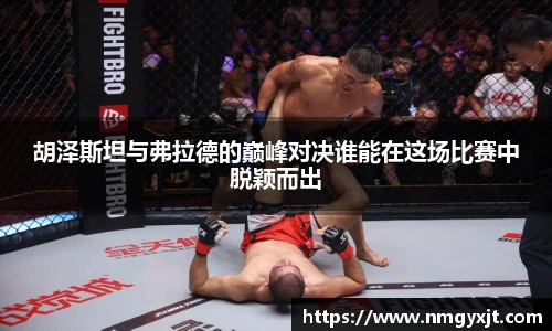 胡泽斯坦与弗拉德的巅峰对决谁能在这场比赛中脱颖而出